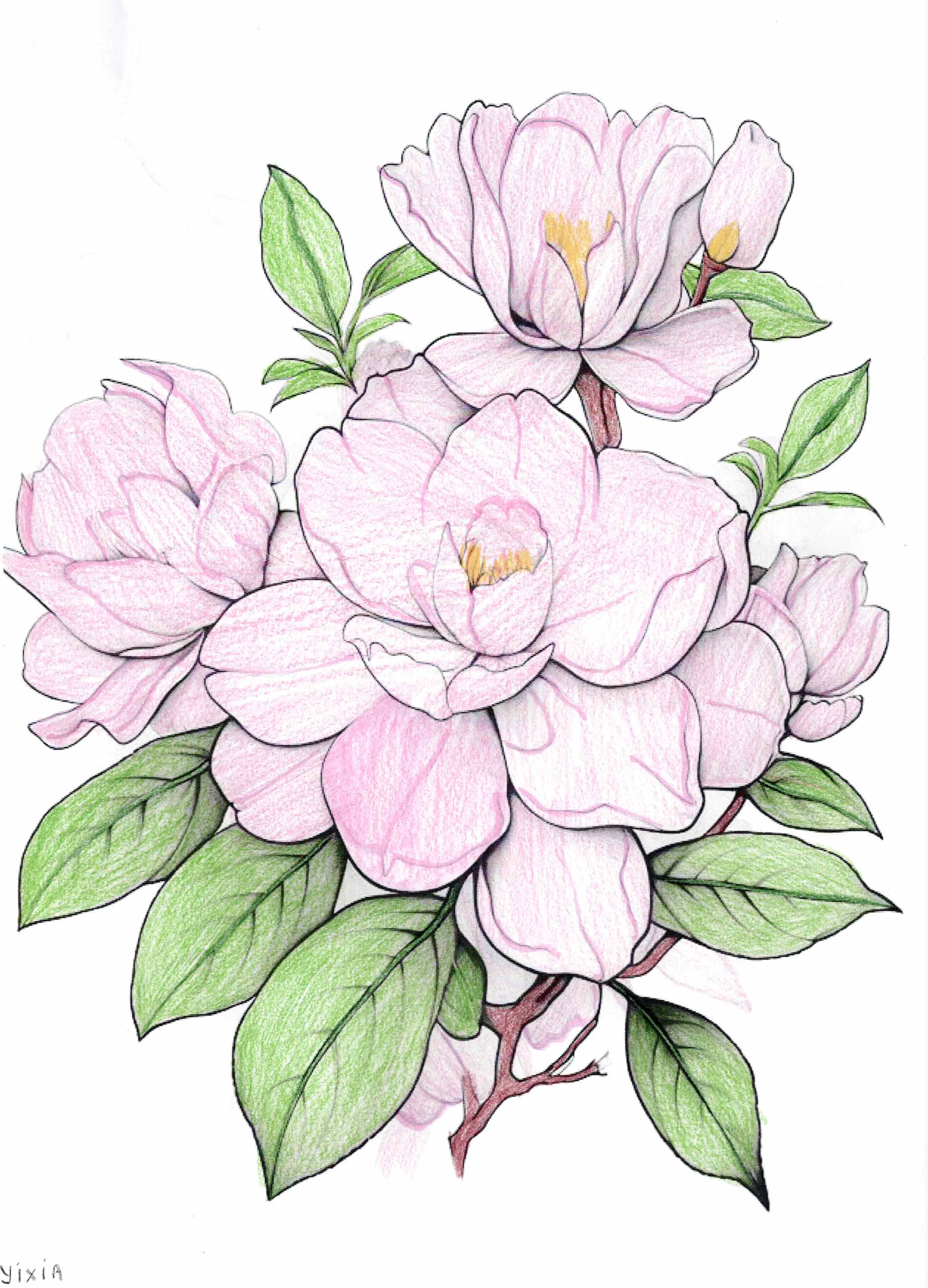 Artwork by Yixia